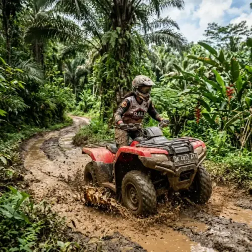 Quad Bike ATV Adventure